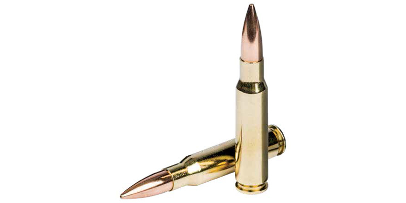Federal Gold Medal Sierra MatchKing .300 Win. Mag. 12.3g – Bild 2