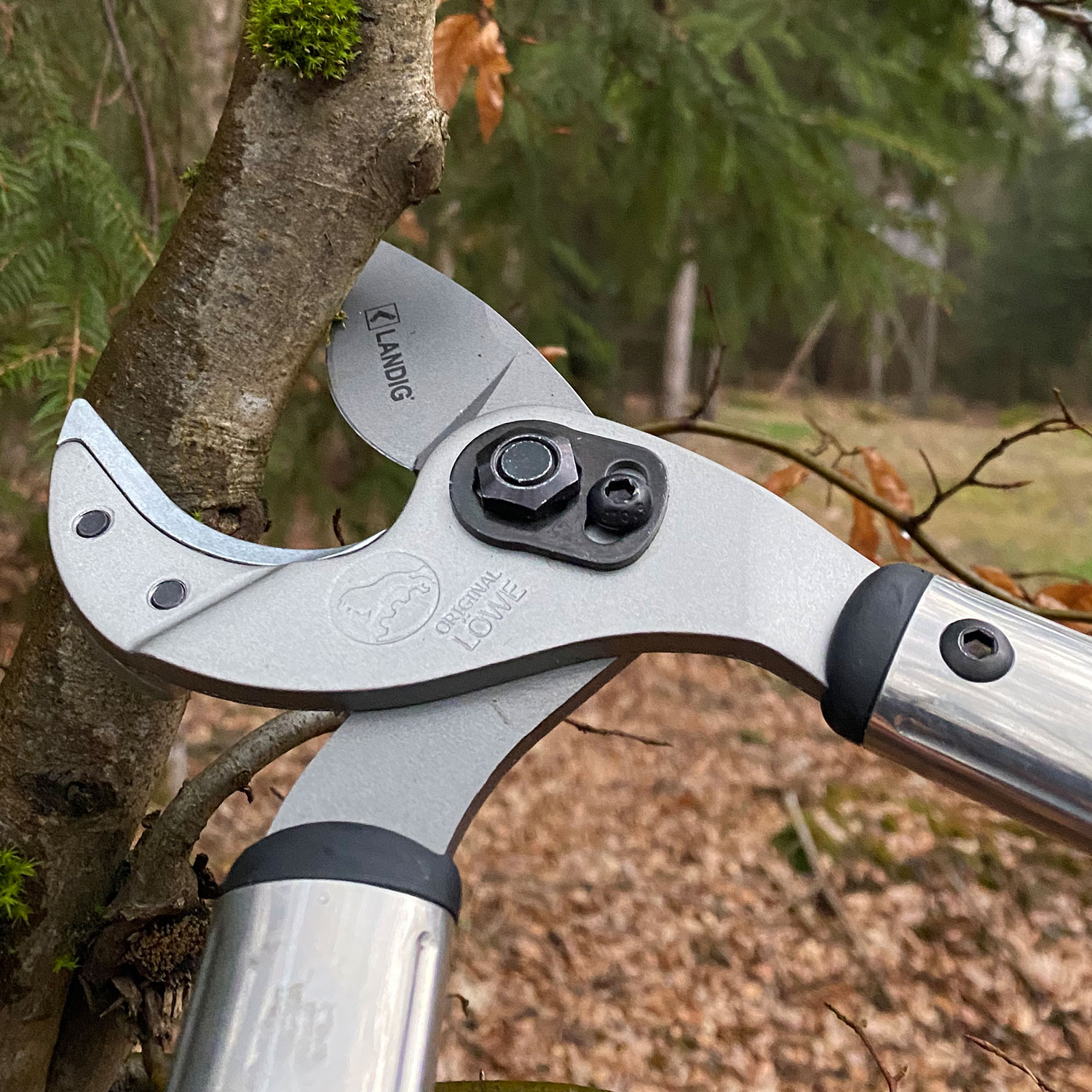 Jagdschere XL - 50 cm – Bild 4