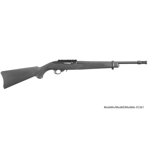 Ruger 10/22 Tactical