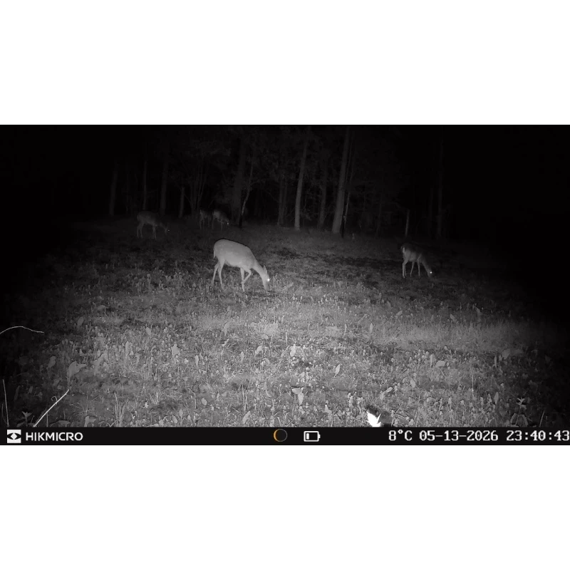 Hikmicro Wildkamera T16 – Bild 11