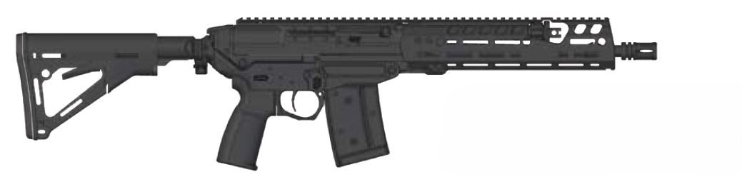 Sig Sauer SG563 LB .223 Rem.